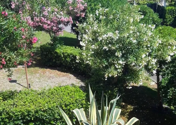 Apartment Ampio Giardino Vista Mare Ceriale